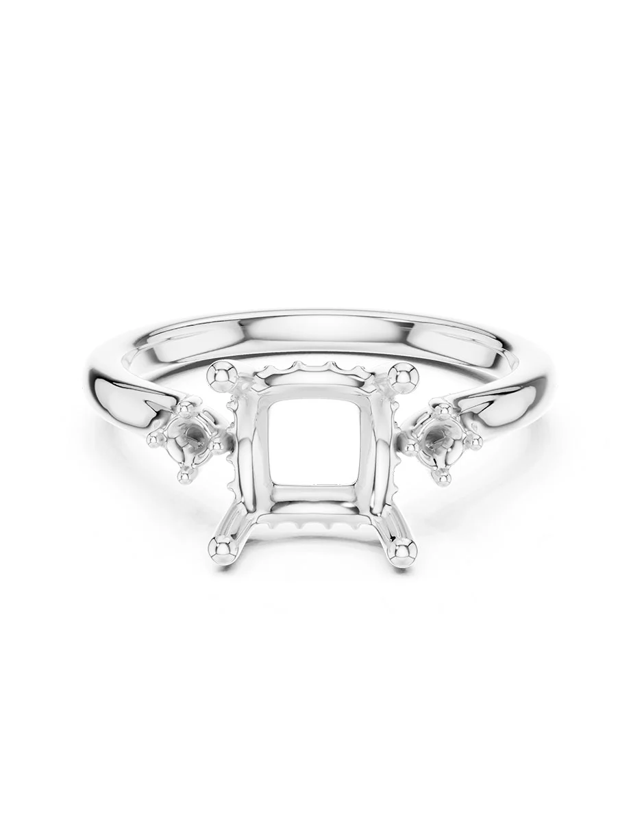 Monturas para Diamante Princesa