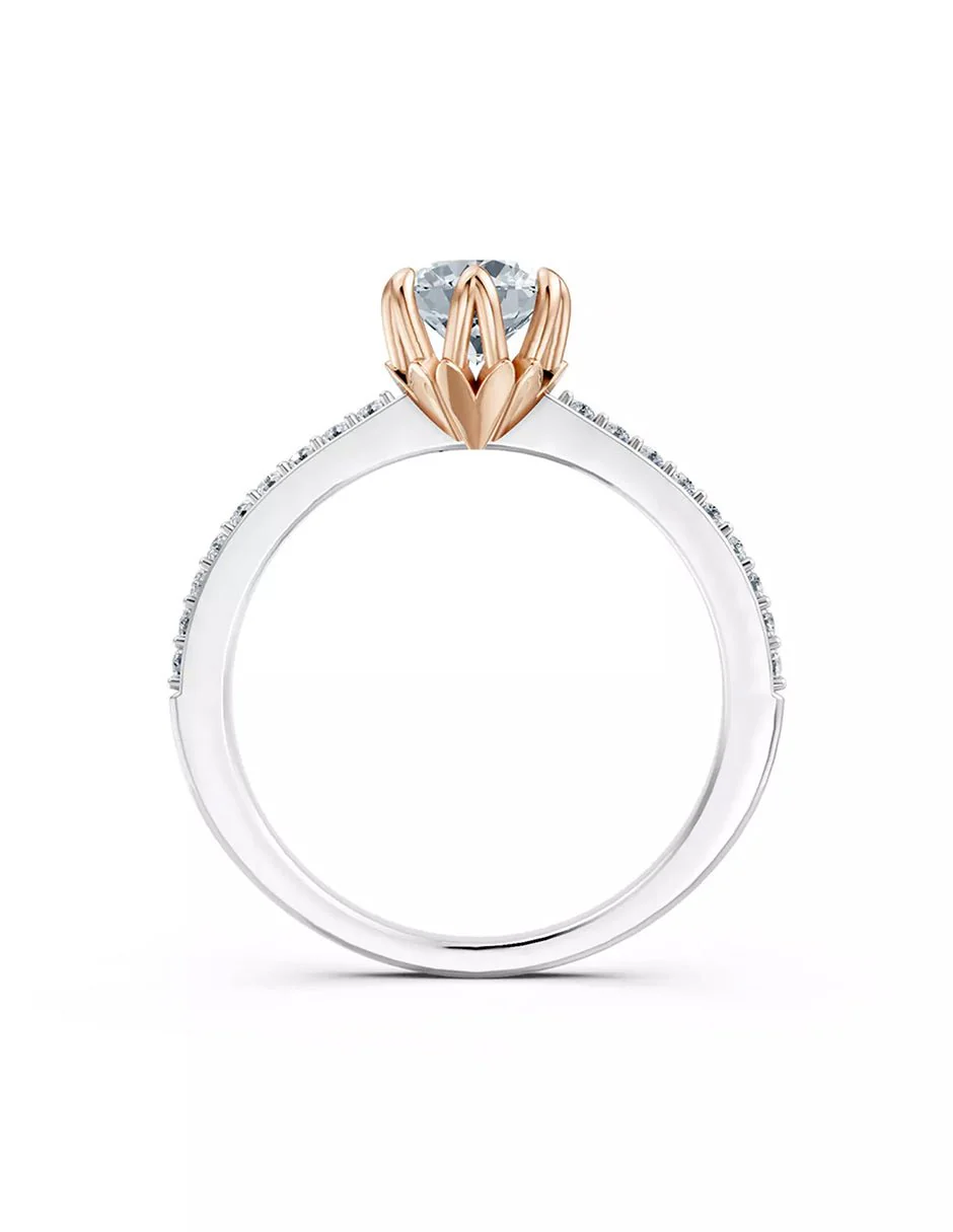 Anillo de Compromiso - pavé - AMORE551-RD-CZ - Image 10