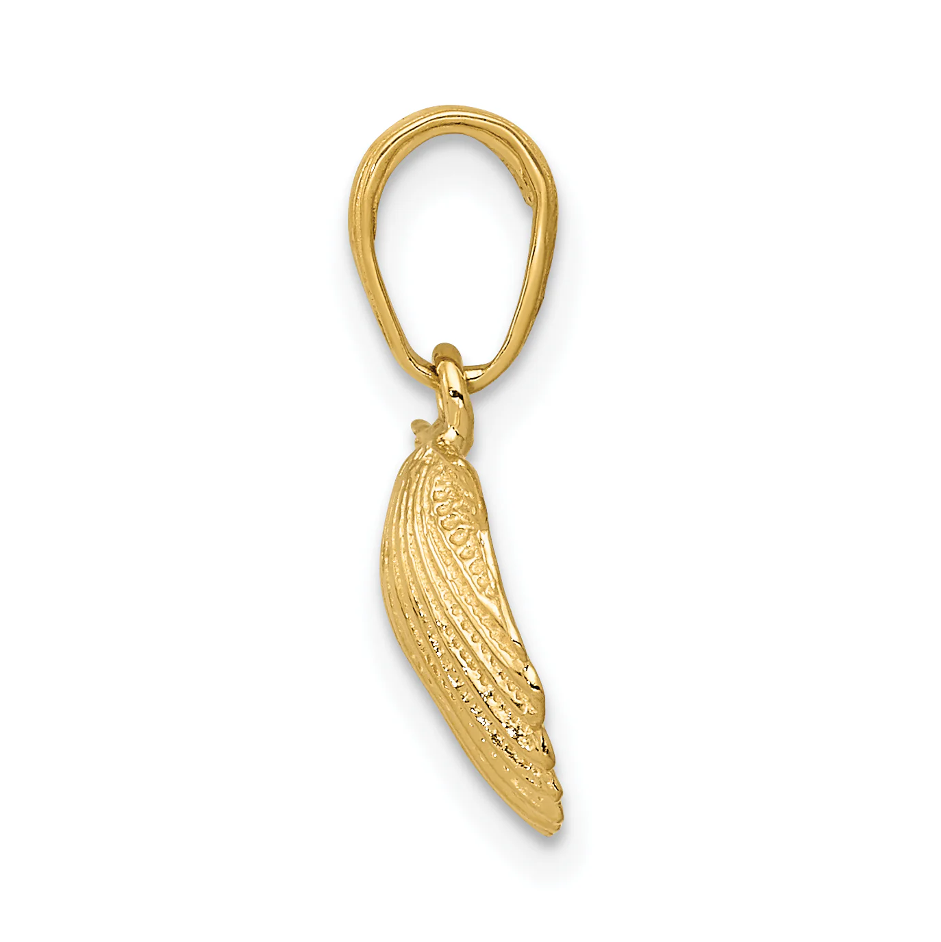Péndulo de Concha Escallop de 14k - Image 2