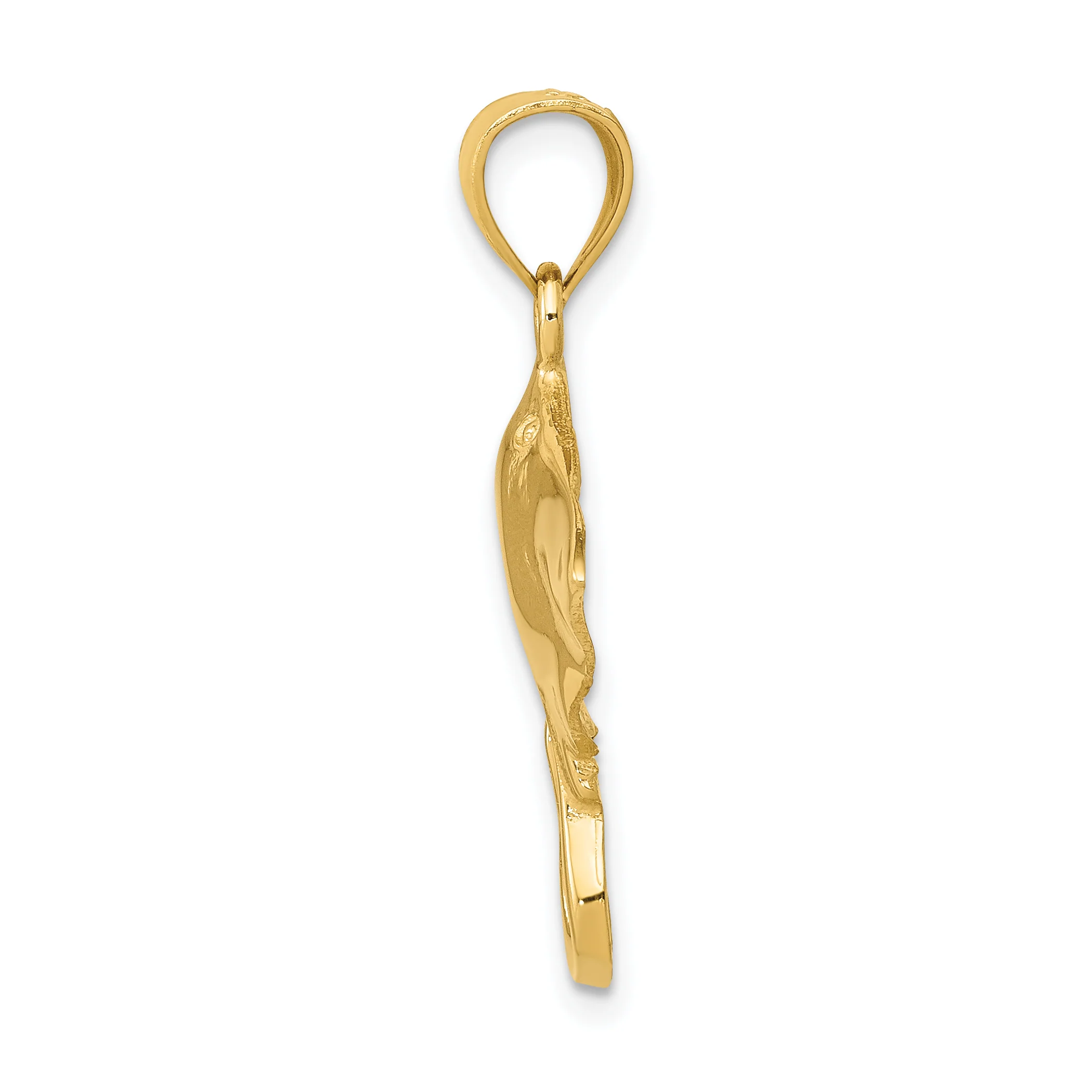 Colgante Raya en Oro Amarillo de 14K - Image 2