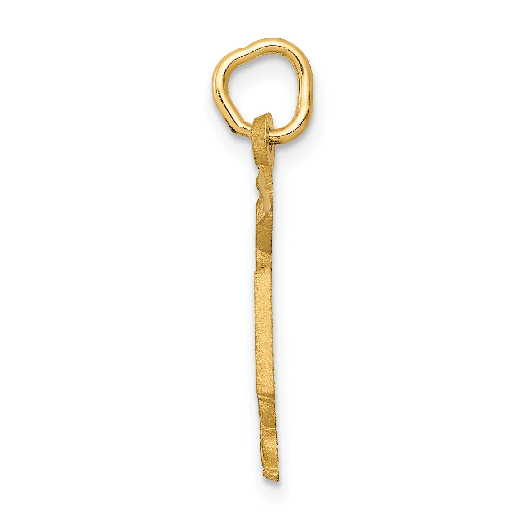 Dije de Enfermera RN en Oro Amarillo de 14K - Image 2